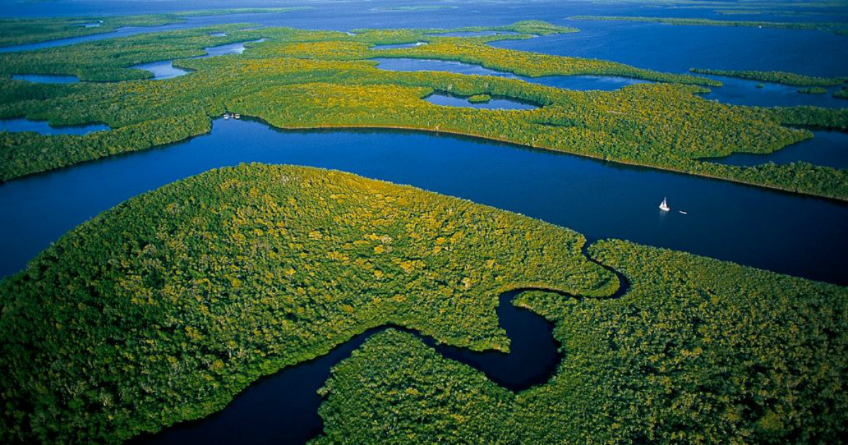 Cuenca amazonica